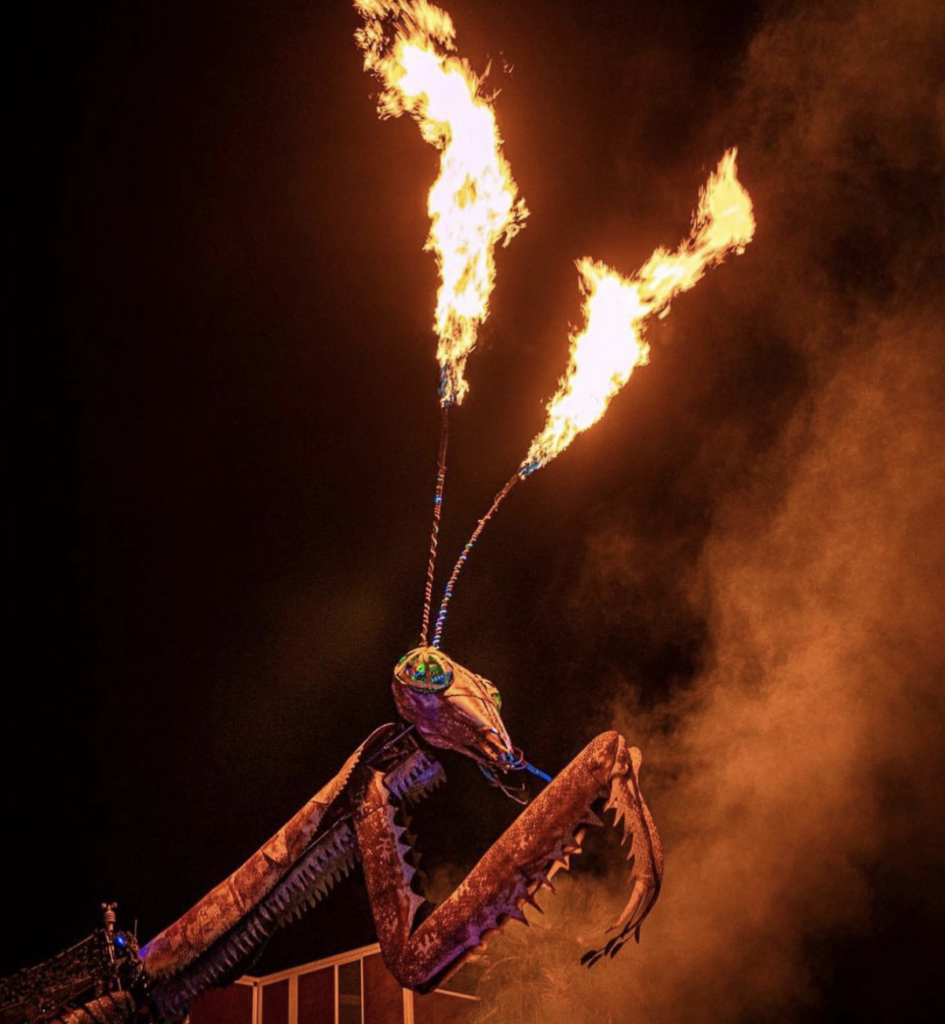 THE MANTIS